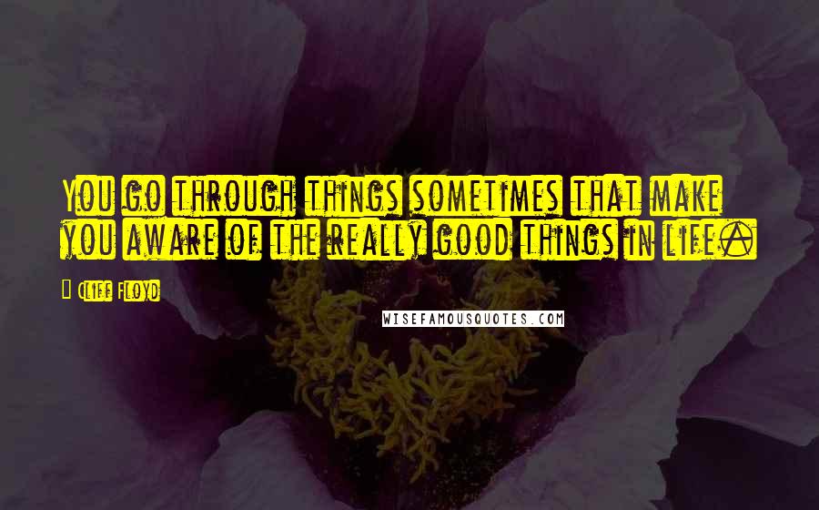 Cliff Floyd Quotes: You go through things sometimes that make you aware of the really good things in life.