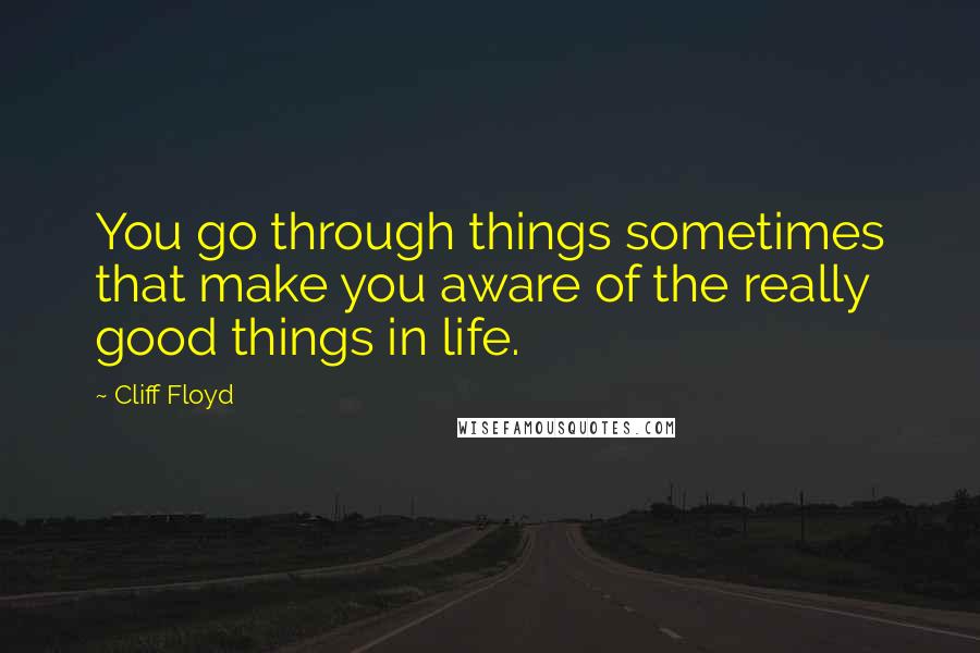 Cliff Floyd Quotes: You go through things sometimes that make you aware of the really good things in life.