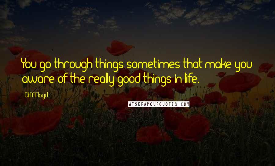 Cliff Floyd Quotes: You go through things sometimes that make you aware of the really good things in life.