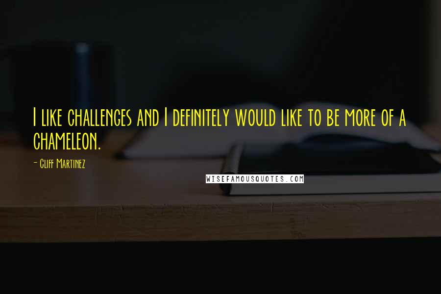 Cliff Martinez Quotes: I like challenges and I definitely would like to be more of a chameleon.