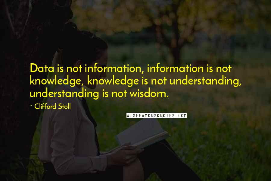 Clifford Stoll Quotes: Data is not information, information is not knowledge, knowledge is not understanding, understanding is not wisdom.