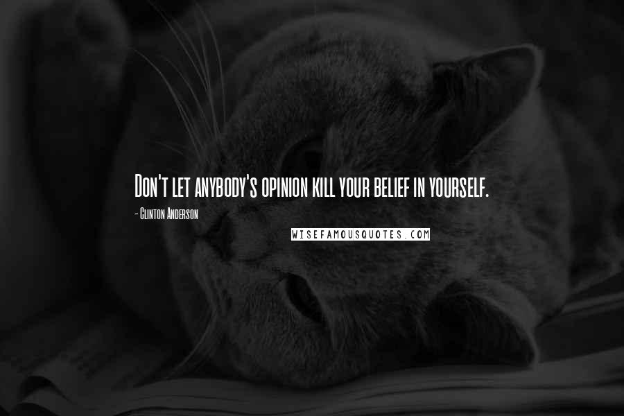 Clinton Anderson Quotes: Don't let anybody's opinion kill your belief in yourself.