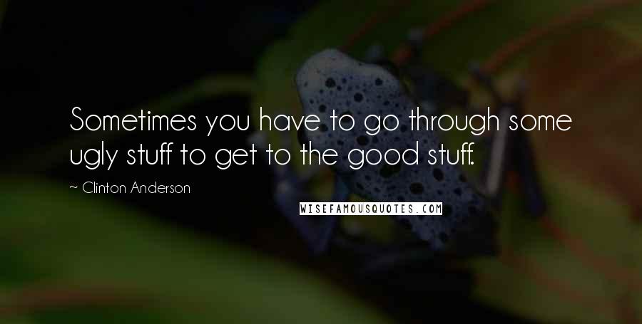 Clinton Anderson Quotes: Sometimes you have to go through some ugly stuff to get to the good stuff.