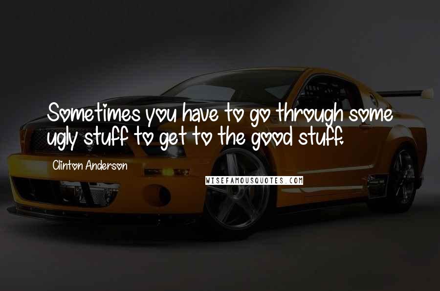 Clinton Anderson Quotes: Sometimes you have to go through some ugly stuff to get to the good stuff.