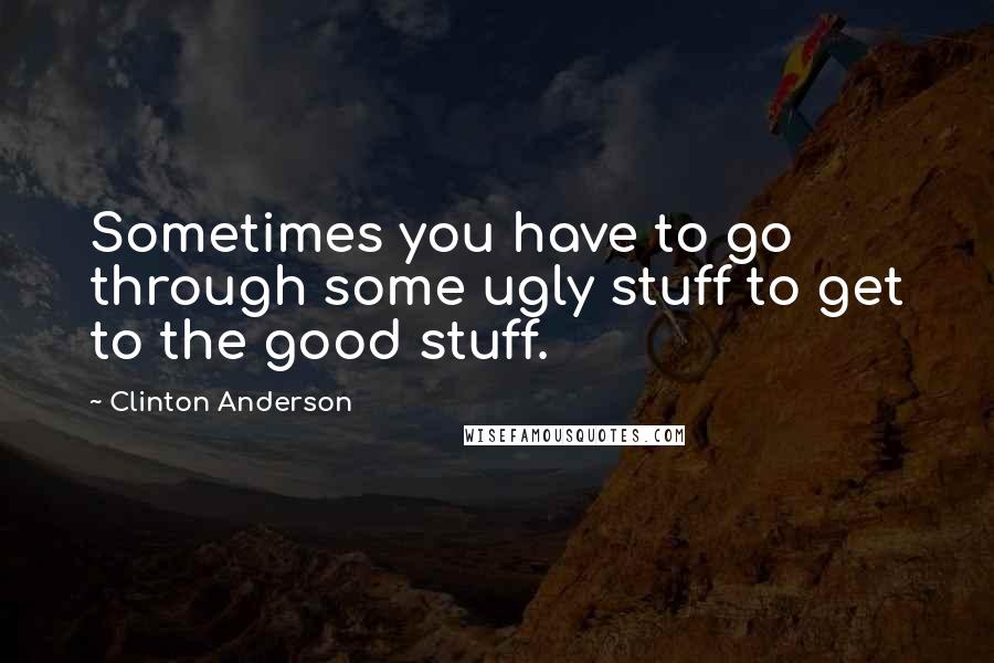 Clinton Anderson Quotes: Sometimes you have to go through some ugly stuff to get to the good stuff.