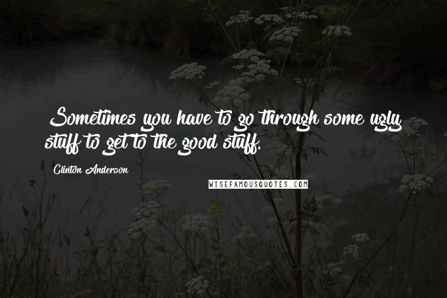 Clinton Anderson Quotes: Sometimes you have to go through some ugly stuff to get to the good stuff.