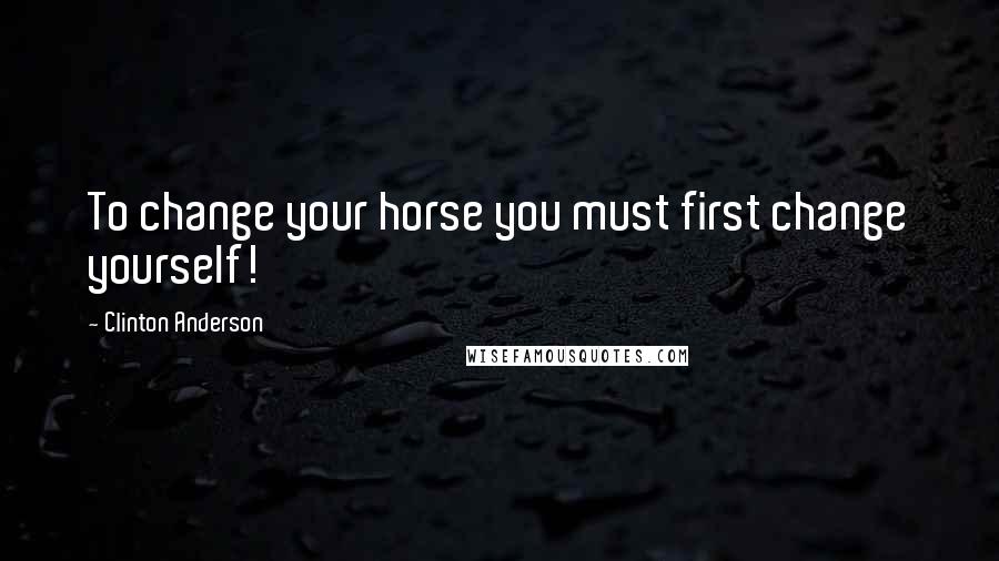 Clinton Anderson Quotes: To change your horse you must first change yourself!
