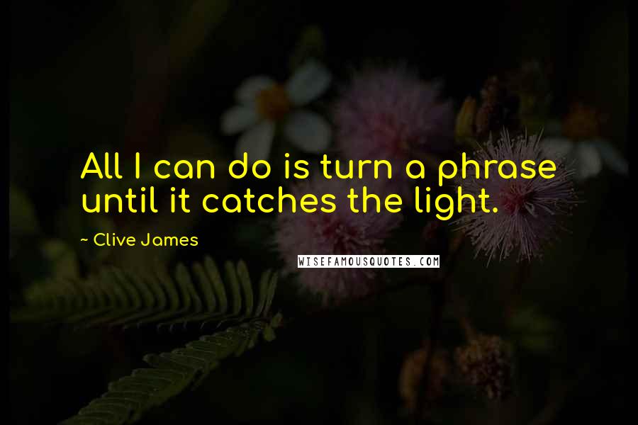 Clive James Quotes: All I can do is turn a phrase until it catches the light.