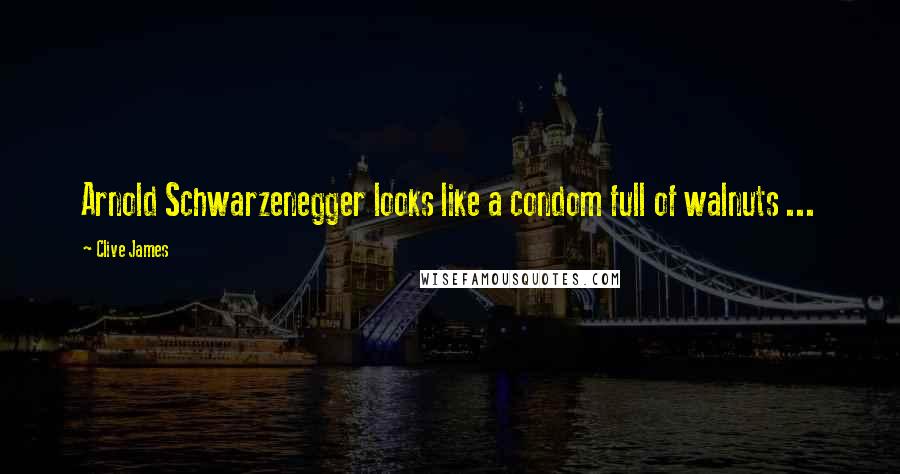 Clive James Quotes: Arnold Schwarzenegger looks like a condom full of walnuts ...