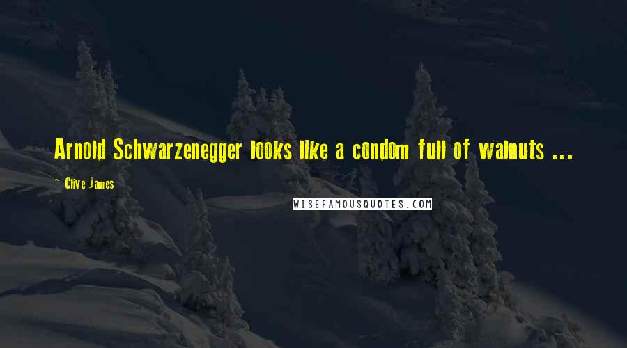 Clive James Quotes: Arnold Schwarzenegger looks like a condom full of walnuts ...