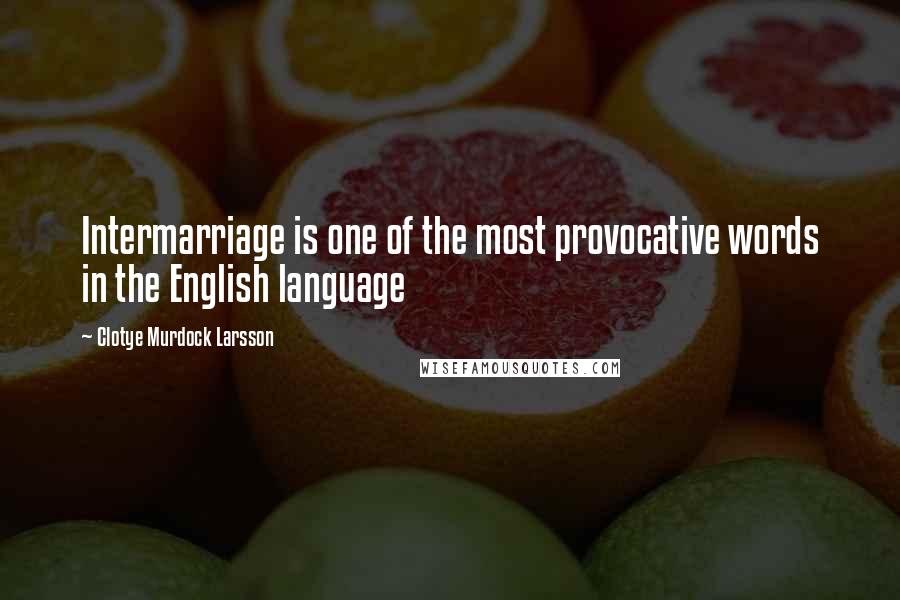 Clotye Murdock Larsson Quotes: Intermarriage is one of the most provocative words in the English language