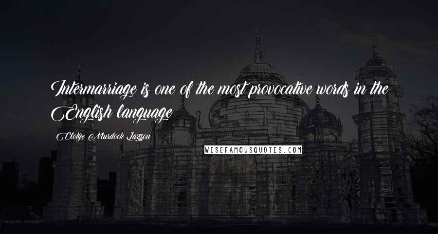 Clotye Murdock Larsson Quotes: Intermarriage is one of the most provocative words in the English language