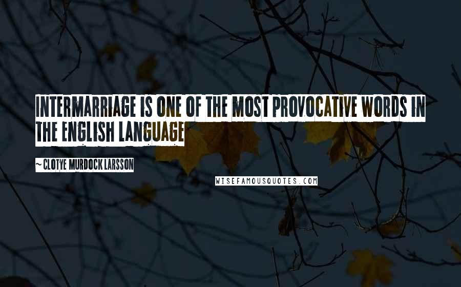 Clotye Murdock Larsson Quotes: Intermarriage is one of the most provocative words in the English language