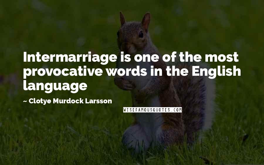 Clotye Murdock Larsson Quotes: Intermarriage is one of the most provocative words in the English language