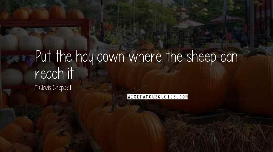 Clovis Chappell Quotes: Put the hay down where the sheep can reach it.