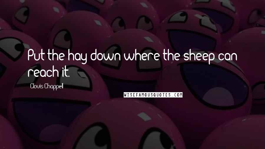 Clovis Chappell Quotes: Put the hay down where the sheep can reach it.