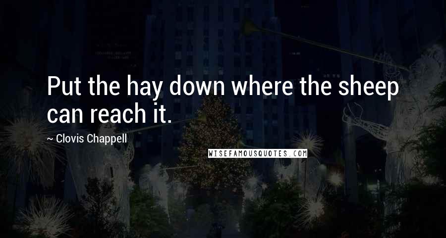 Clovis Chappell Quotes: Put the hay down where the sheep can reach it.