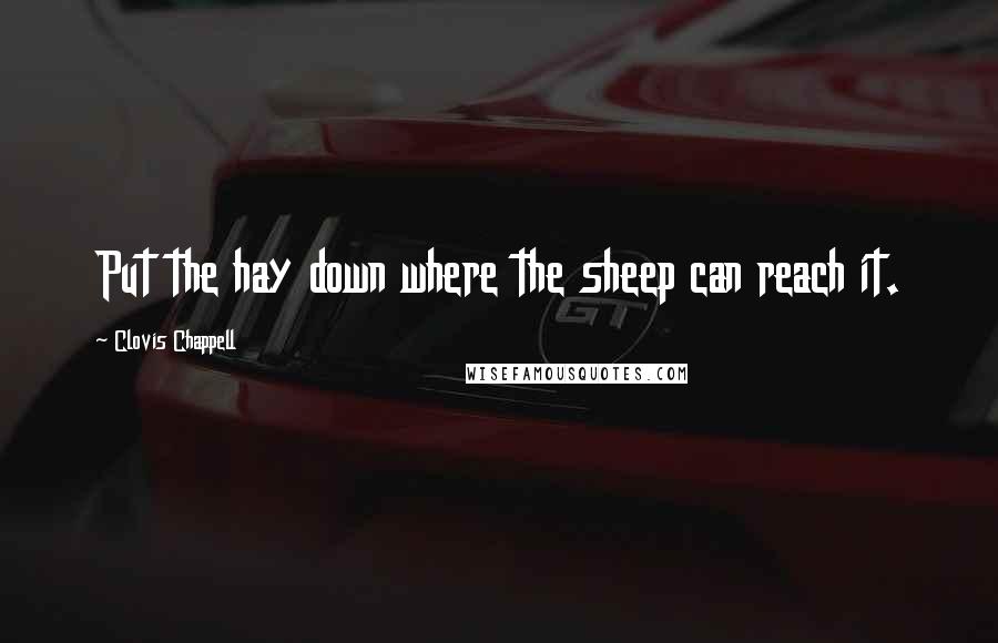 Clovis Chappell Quotes: Put the hay down where the sheep can reach it.