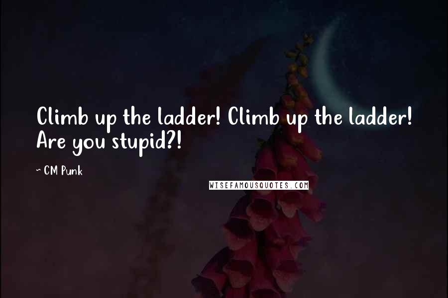 CM Punk Quotes: Climb up the ladder! Climb up the ladder! Are you stupid?!