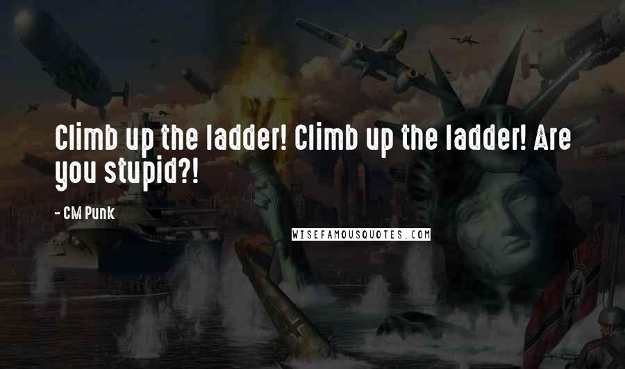 CM Punk Quotes: Climb up the ladder! Climb up the ladder! Are you stupid?!