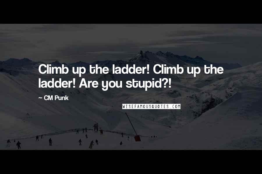 CM Punk Quotes: Climb up the ladder! Climb up the ladder! Are you stupid?!