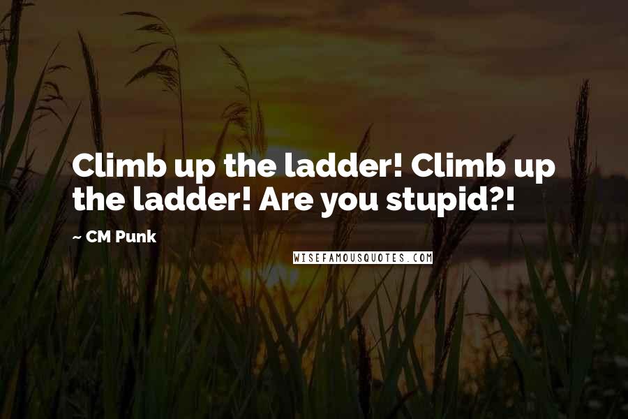 CM Punk Quotes: Climb up the ladder! Climb up the ladder! Are you stupid?!