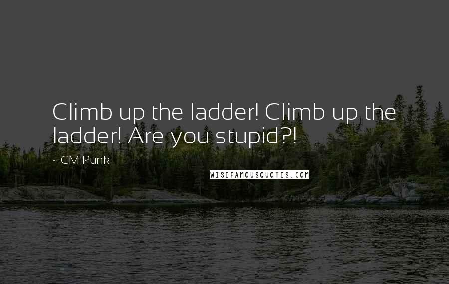 CM Punk Quotes: Climb up the ladder! Climb up the ladder! Are you stupid?!