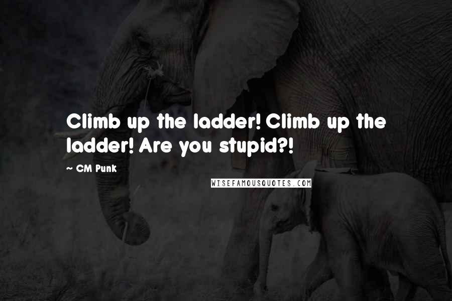 CM Punk Quotes: Climb up the ladder! Climb up the ladder! Are you stupid?!