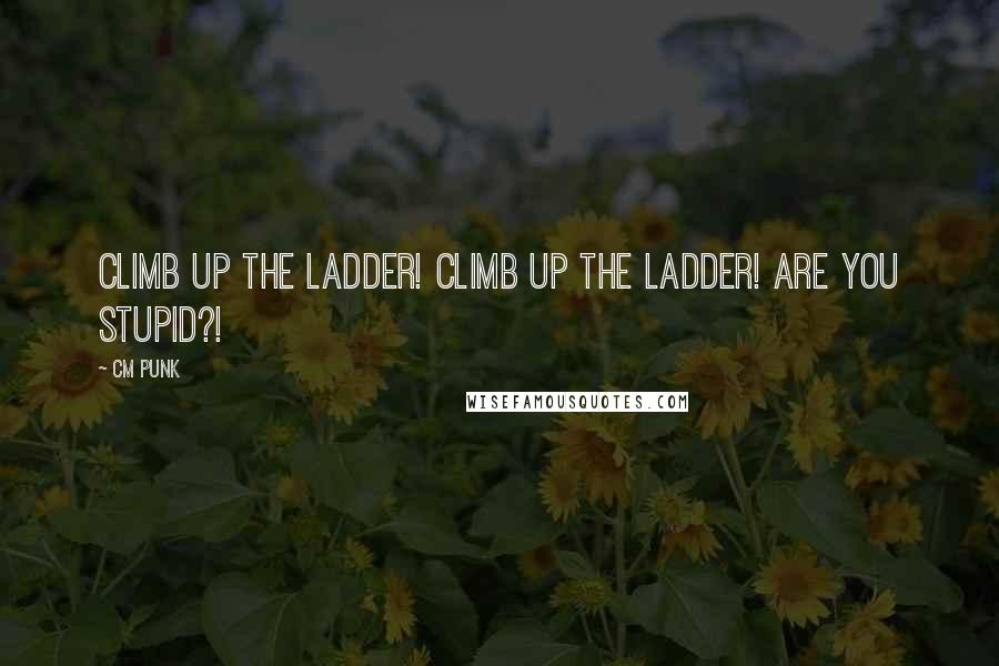 CM Punk Quotes: Climb up the ladder! Climb up the ladder! Are you stupid?!