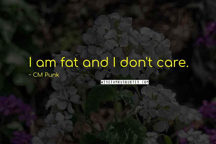 CM Punk Quotes: I am fat and I don't care.