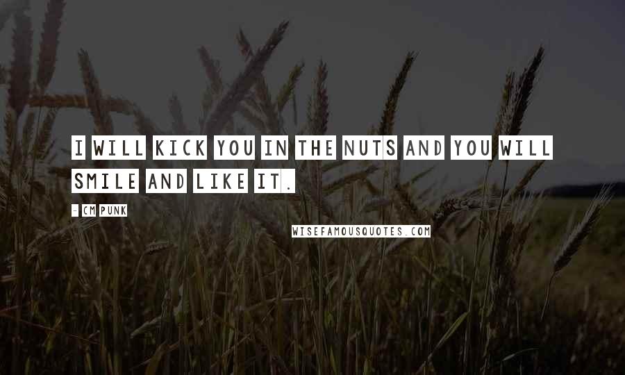 CM Punk Quotes: I will kick you in the nuts and you will smile and like it.