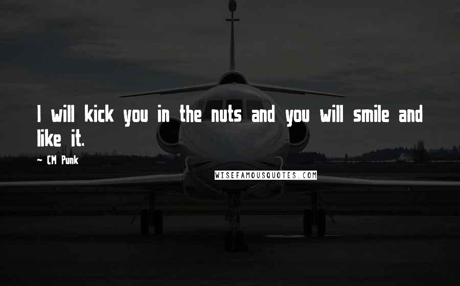 CM Punk Quotes: I will kick you in the nuts and you will smile and like it.