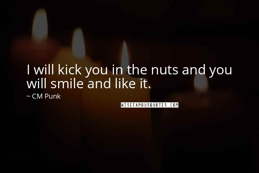 CM Punk Quotes: I will kick you in the nuts and you will smile and like it.