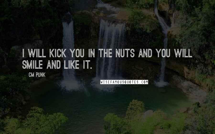 CM Punk Quotes: I will kick you in the nuts and you will smile and like it.