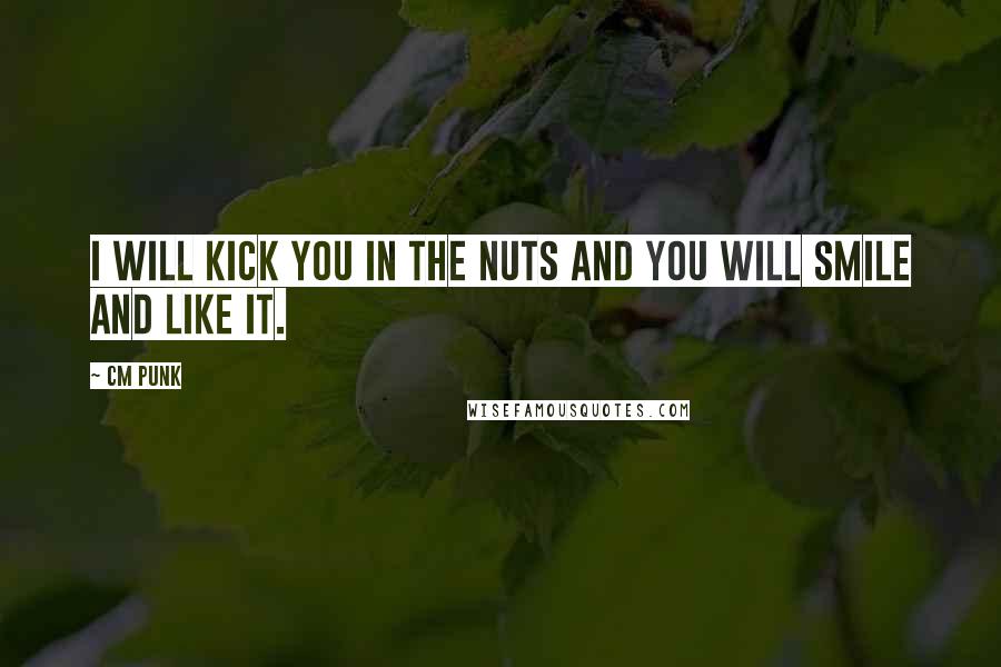 CM Punk Quotes: I will kick you in the nuts and you will smile and like it.