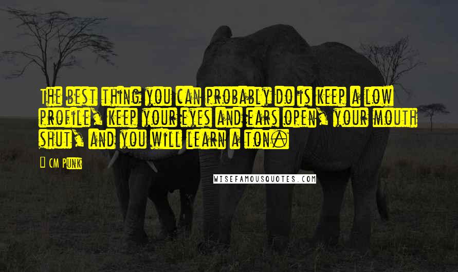 CM Punk Quotes: The best thing you can probably do is keep a low profile, keep your eyes and ears open, your mouth shut, and you will learn a ton.