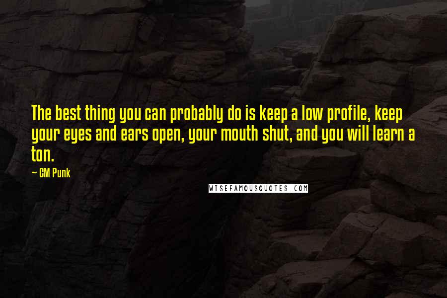 CM Punk Quotes: The best thing you can probably do is keep a low profile, keep your eyes and ears open, your mouth shut, and you will learn a ton.