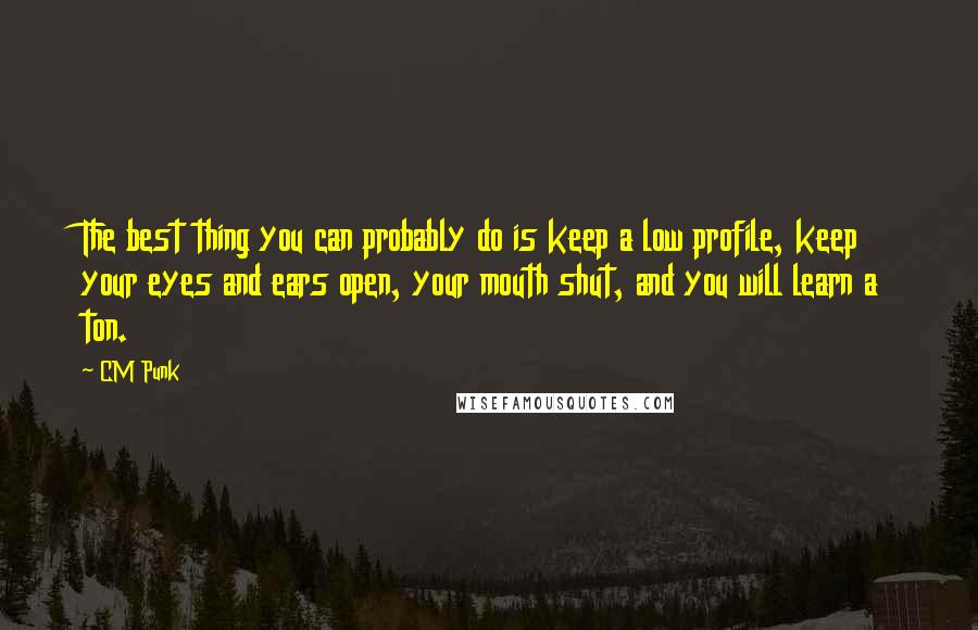 CM Punk Quotes: The best thing you can probably do is keep a low profile, keep your eyes and ears open, your mouth shut, and you will learn a ton.