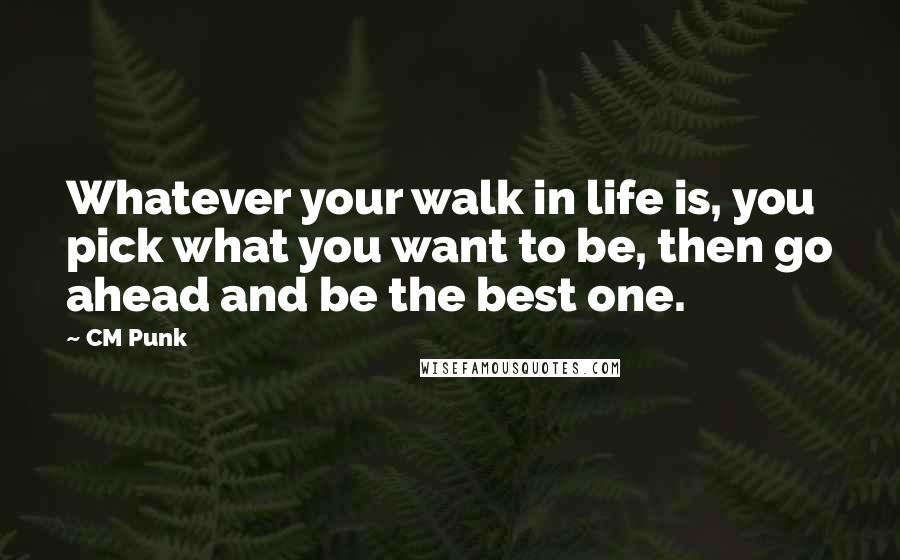 CM Punk Quotes: Whatever your walk in life is, you pick what you want to be, then go ahead and be the best one.