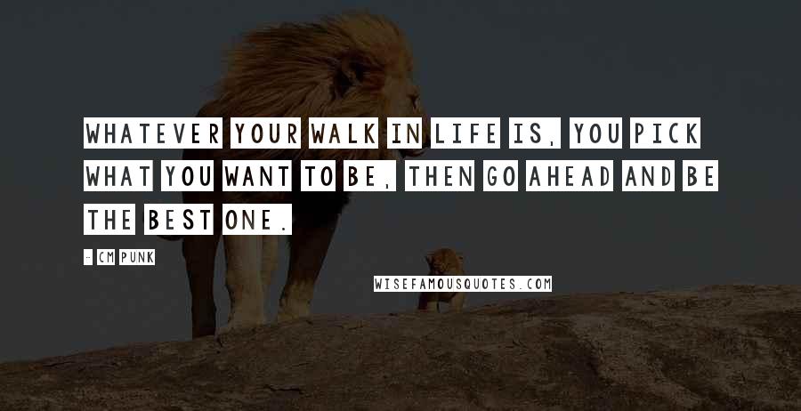 CM Punk Quotes: Whatever your walk in life is, you pick what you want to be, then go ahead and be the best one.
