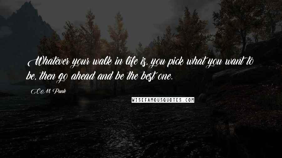 CM Punk Quotes: Whatever your walk in life is, you pick what you want to be, then go ahead and be the best one.