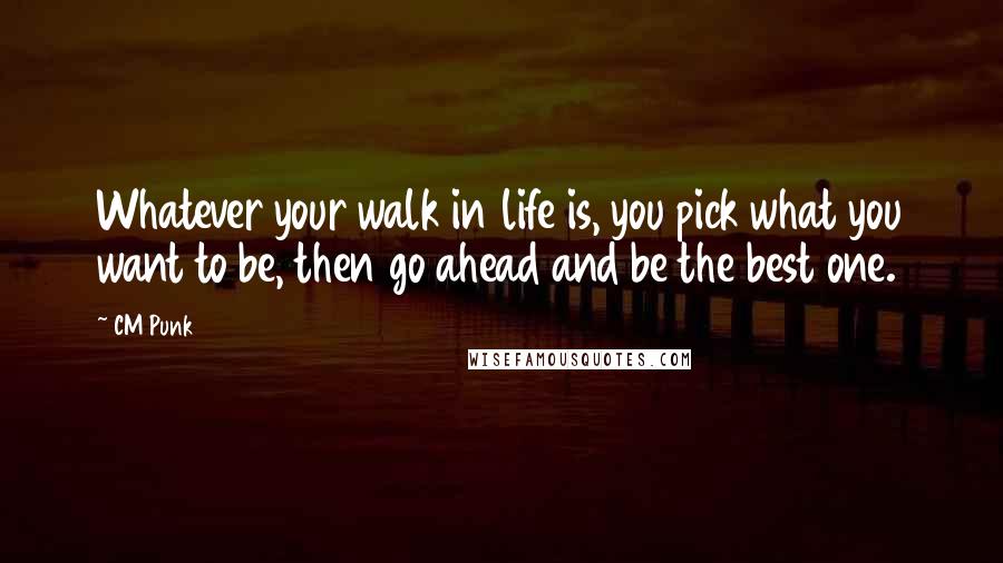 CM Punk Quotes: Whatever your walk in life is, you pick what you want to be, then go ahead and be the best one.