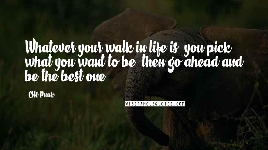 CM Punk Quotes: Whatever your walk in life is, you pick what you want to be, then go ahead and be the best one.