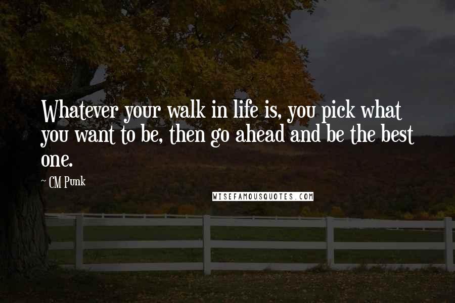 CM Punk Quotes: Whatever your walk in life is, you pick what you want to be, then go ahead and be the best one.