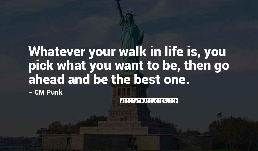 CM Punk Quotes: Whatever your walk in life is, you pick what you want to be, then go ahead and be the best one.