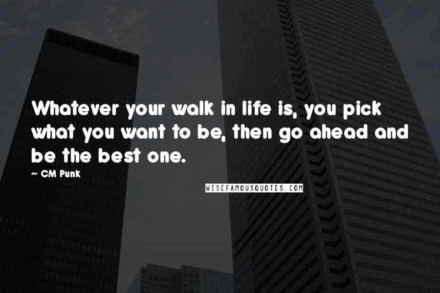 CM Punk Quotes: Whatever your walk in life is, you pick what you want to be, then go ahead and be the best one.