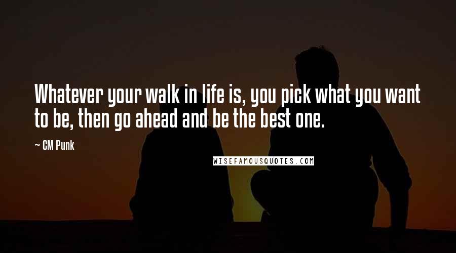 CM Punk Quotes: Whatever your walk in life is, you pick what you want to be, then go ahead and be the best one.