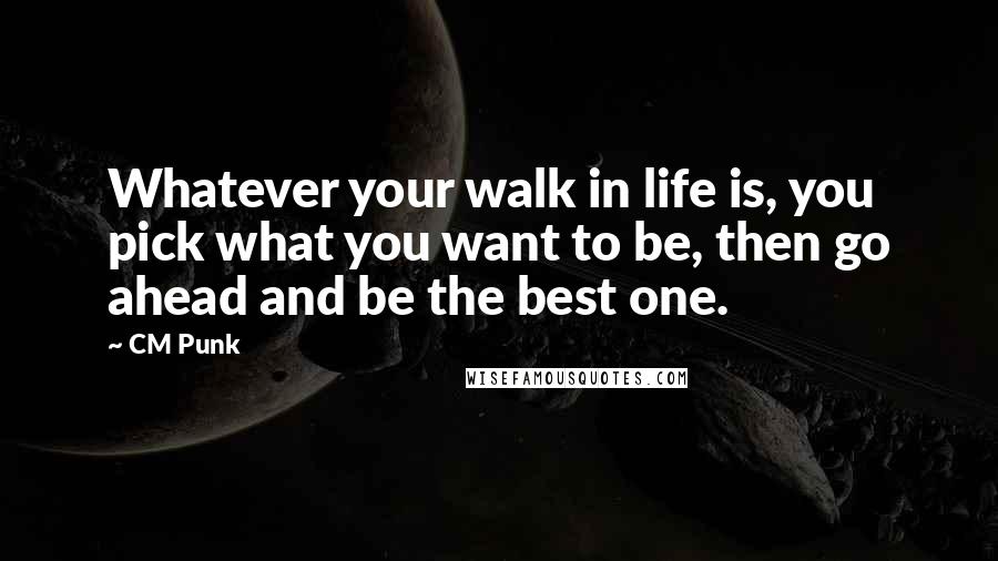 CM Punk Quotes: Whatever your walk in life is, you pick what you want to be, then go ahead and be the best one.