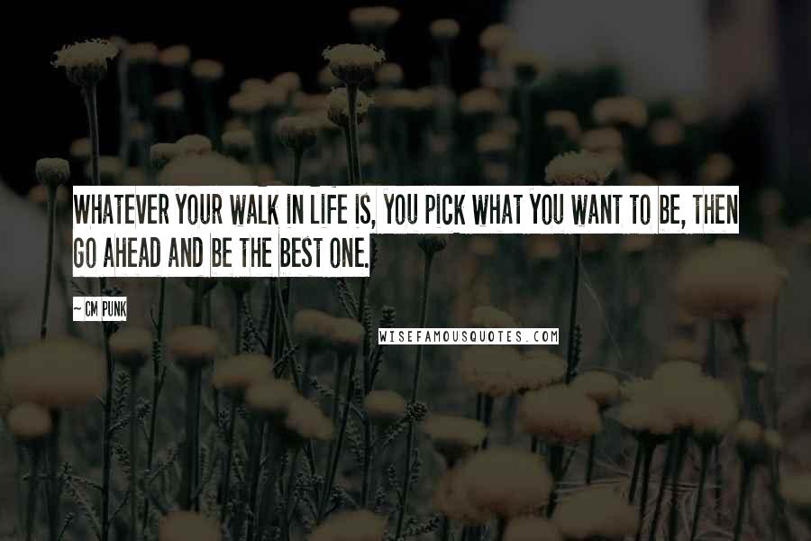 CM Punk Quotes: Whatever your walk in life is, you pick what you want to be, then go ahead and be the best one.