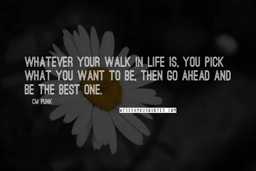 CM Punk Quotes: Whatever your walk in life is, you pick what you want to be, then go ahead and be the best one.